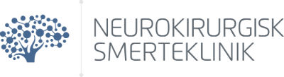 nksk_logo hjerne alene lys grey